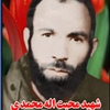 محبت اله محمدی.jpg